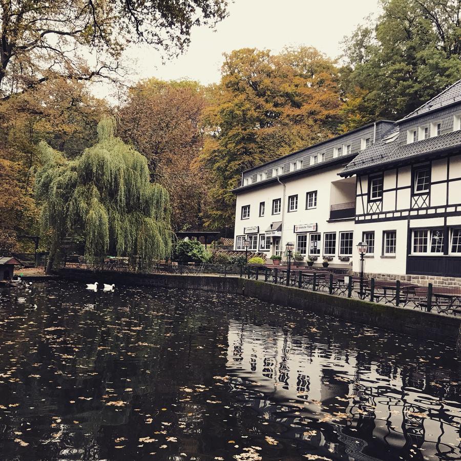 Rösrath Hotel Forsbacher Muhle المظهر الخارجي الصورة