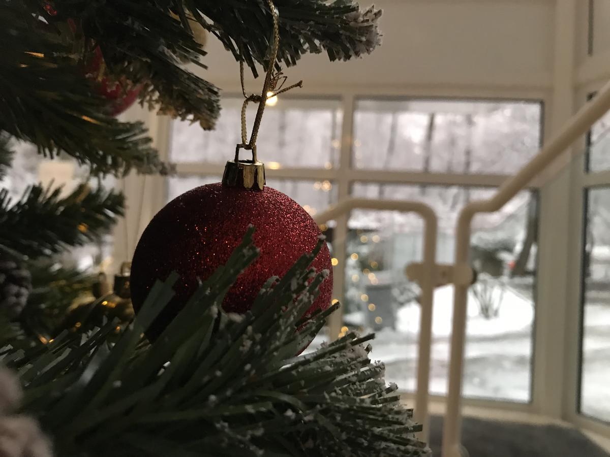 Rösrath Hotel Forsbacher Muhle المظهر الخارجي الصورة